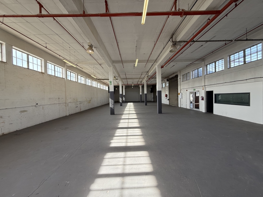 To Let commercial Property for Rent in Bellville South Western Cape